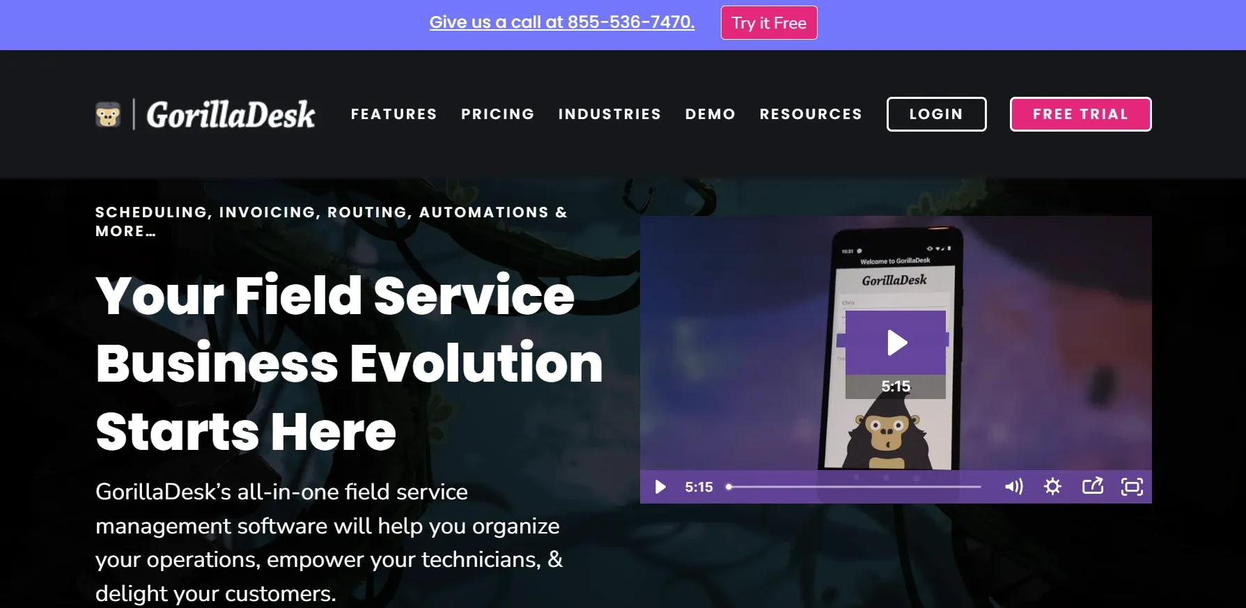 GorillaDesk.webp