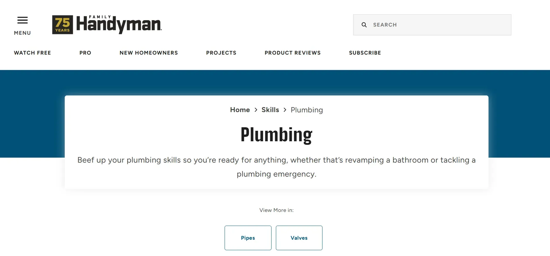 handyman.webp