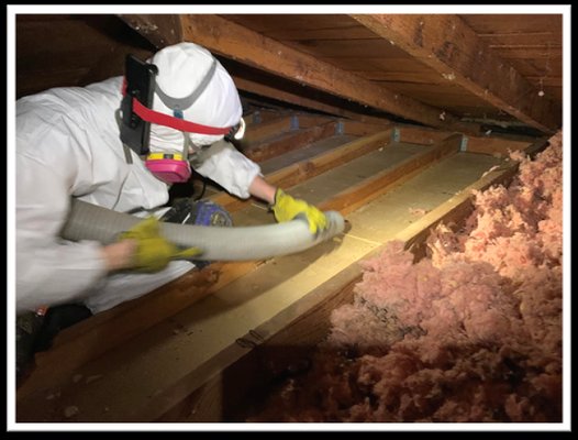 Attic Advisor photo 1