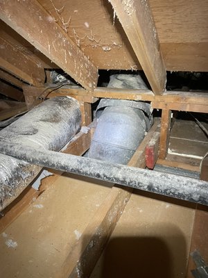 Attic Advisor photo 3