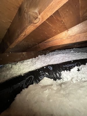 Attic Professional photo 3