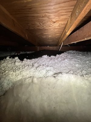 Attic Professional photo 2