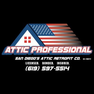 Attic Professional photo 1