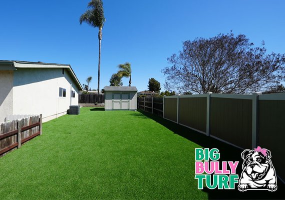 Big Bully Turf photo 2