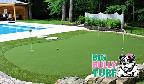 Big Bully Turf photo 3