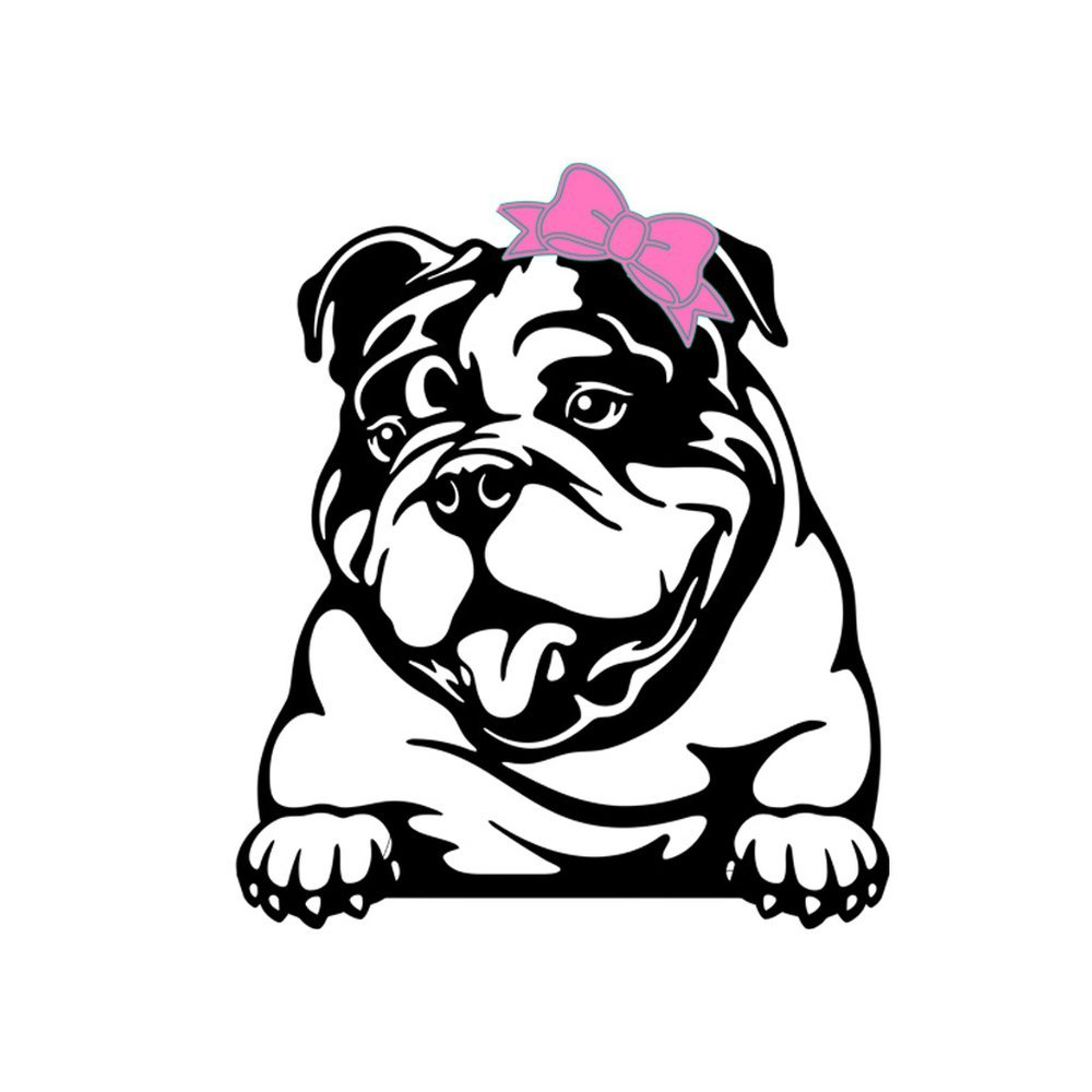 Big Bully Turf logo