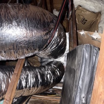 Up in the Attic