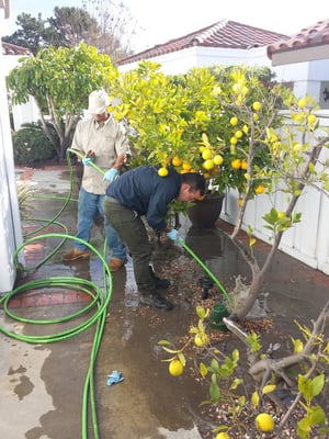 DrainHelp.com photo 2