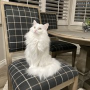 Diane C. profile