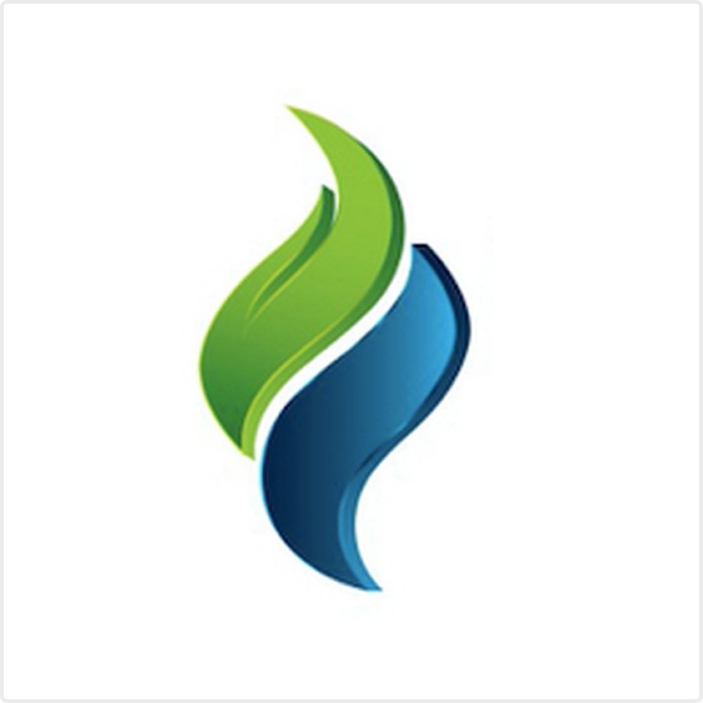 Rapid Water Heater logo