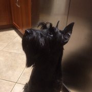 Renee L. profile