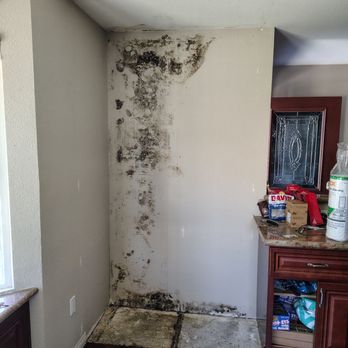 Mold damage after we (the owners) removed the cabinets.